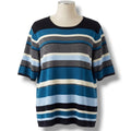 Sag Harbor Woman Striped Short Sleeve Knit Sweater